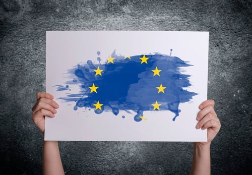 Who is responsible for GDPR compliance at your company?