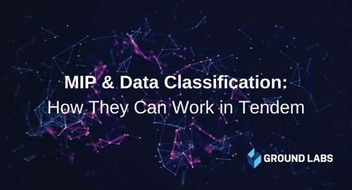 Microsoft Purview & data discovery: How they can work in tandem